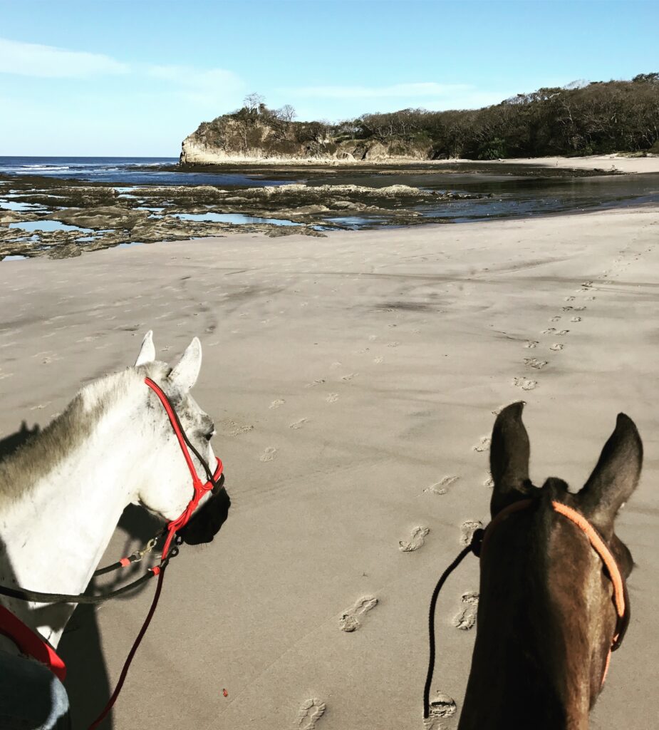Horseback Riding on the beach in Costa Rica